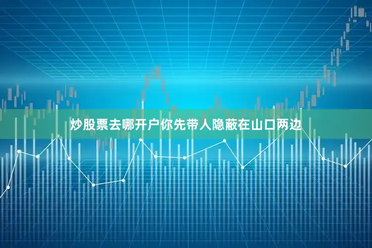 炒股票去哪开户你先带人隐蔽在山口两边