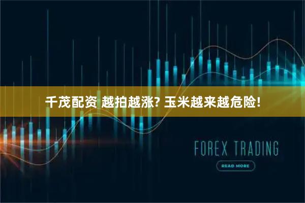 千茂配资 越拍越涨? 玉米越来越危险!